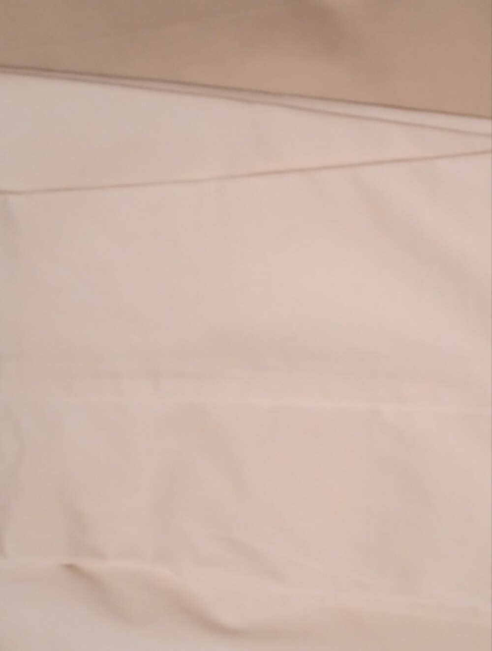 Ann Taylor Cream Women’s Pants